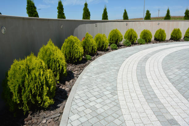 Best Commercial Driveway Pavers  in Ione, CA